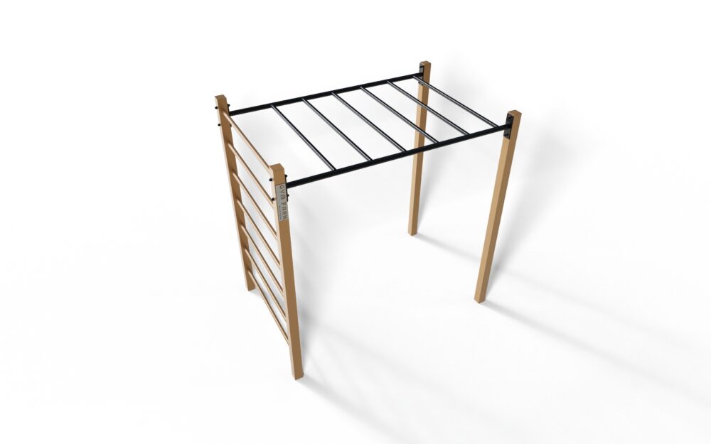 Street Workout SWZ-10D